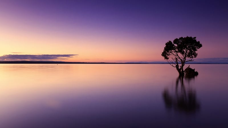 Sunset Horizon